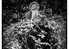 Churchyard 002